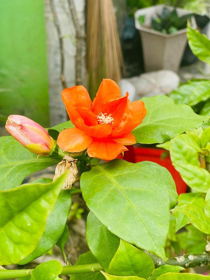 Motel Tuan Phuong Da Nang Eksteriør billede